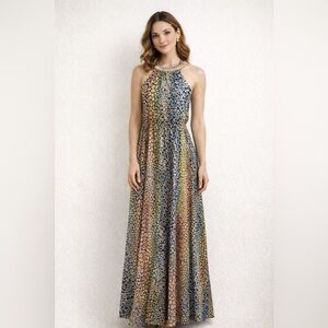 HD in Paris Multicolor Maxi Dress